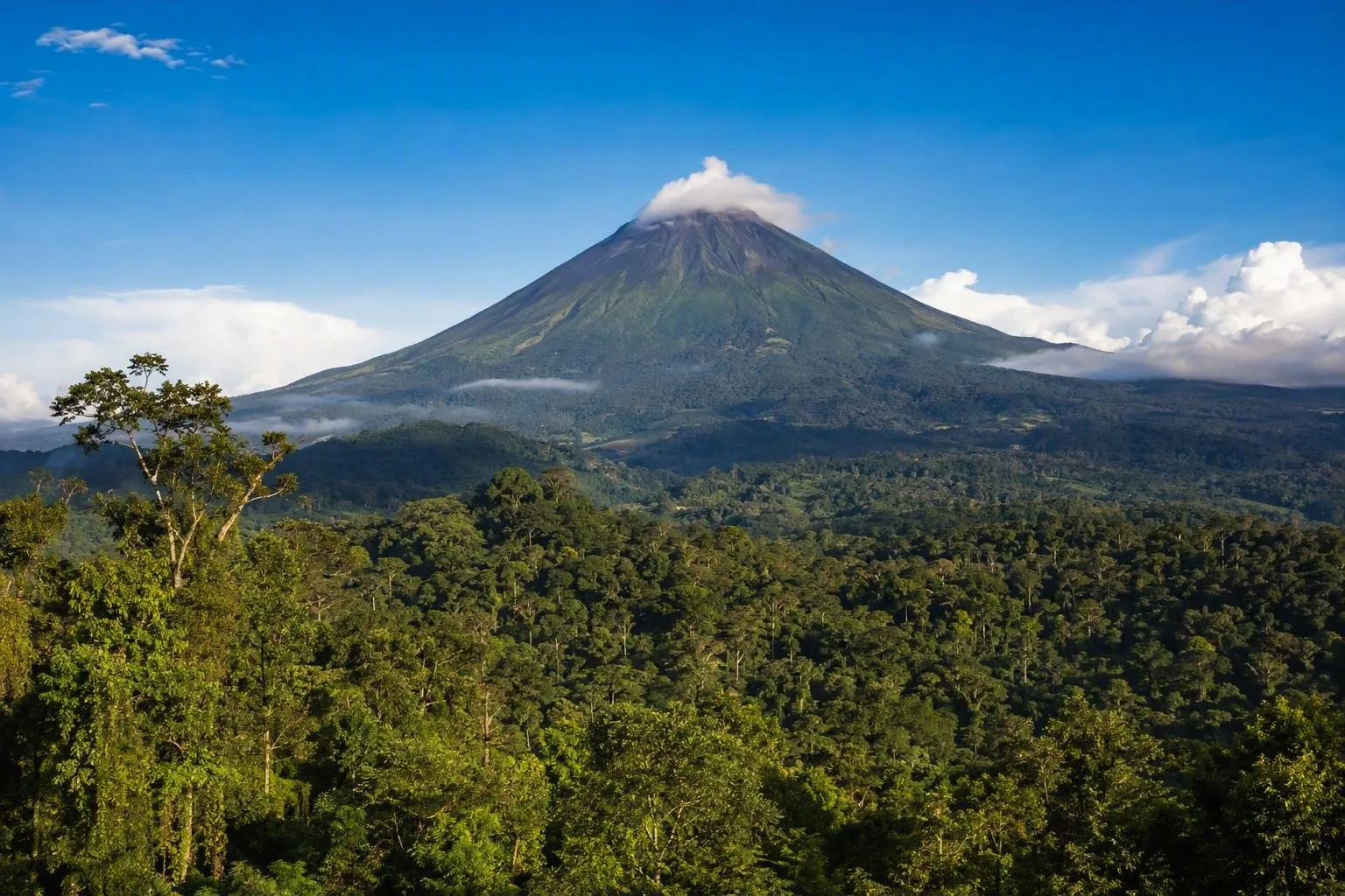 Napo Province