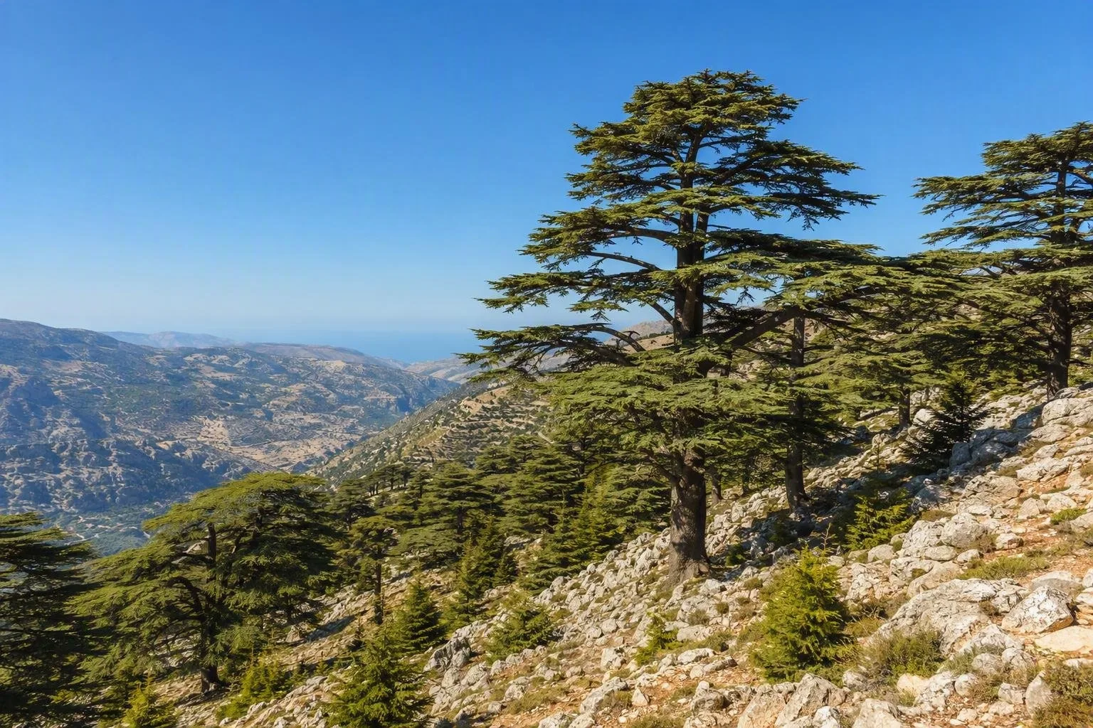 Libanon
