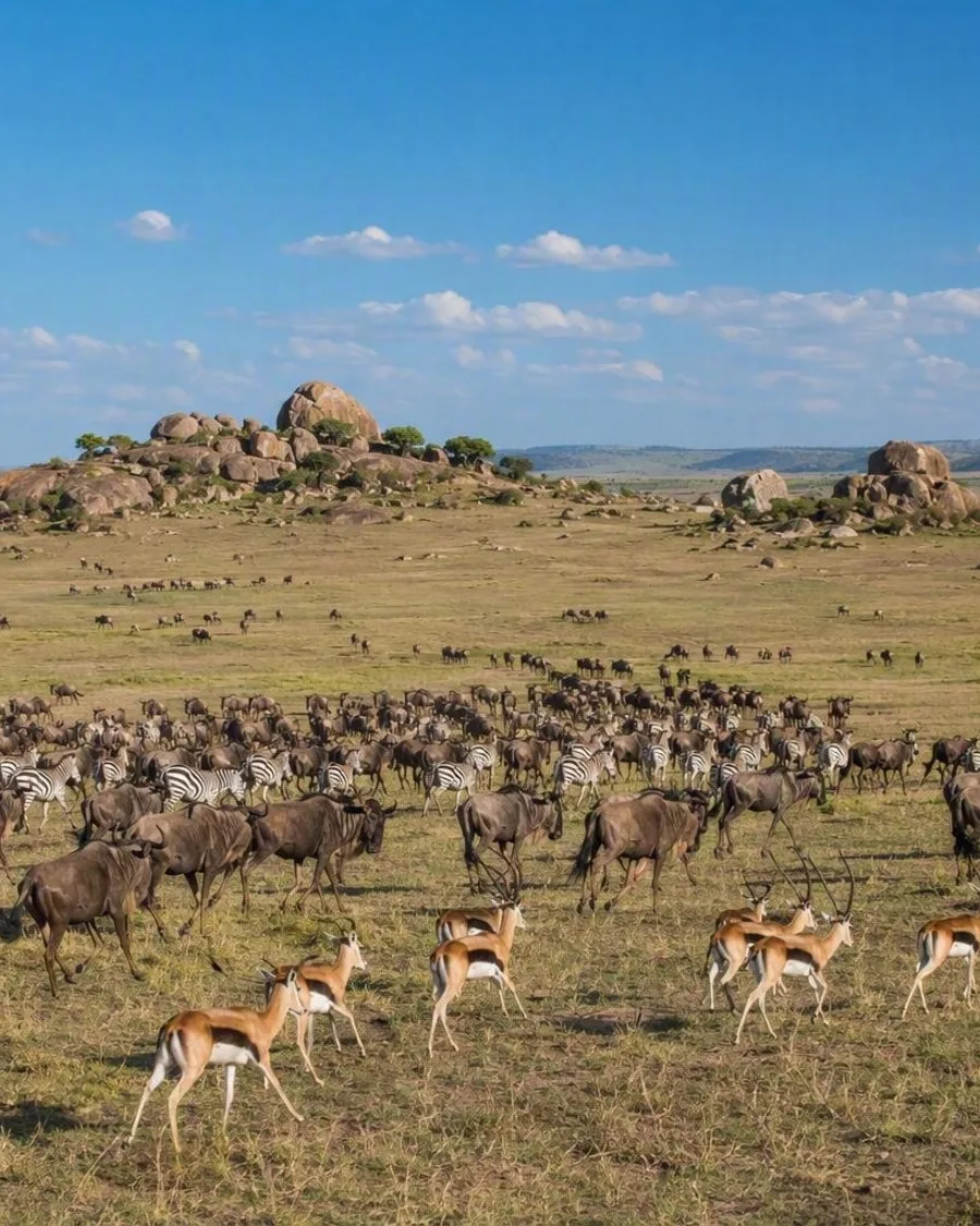 De 10 beste nationale parken van Afrika, gerangschikt