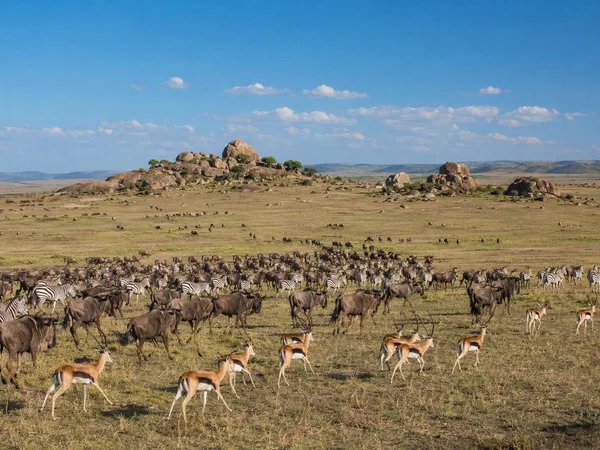 De 10 beste nationale parken van Afrika, gerangschikt
