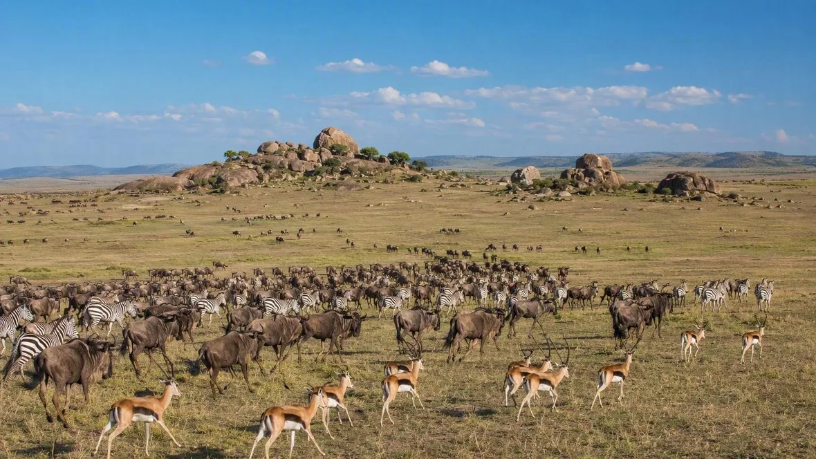 De 10 beste nationale parken van Afrika, gerangschikt