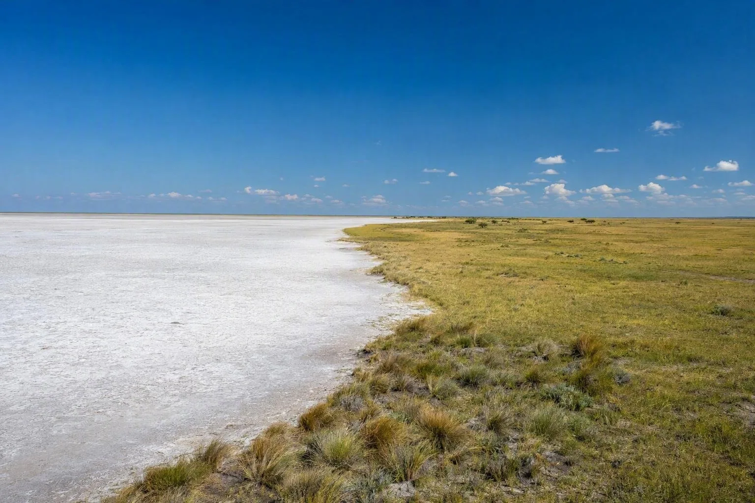 Nationaal park Makgadikgadi Pans