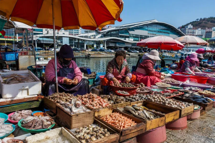 Verkoopsters rangschikken zeevruchten onder parasols langs de Namhang bij Jagalchi.