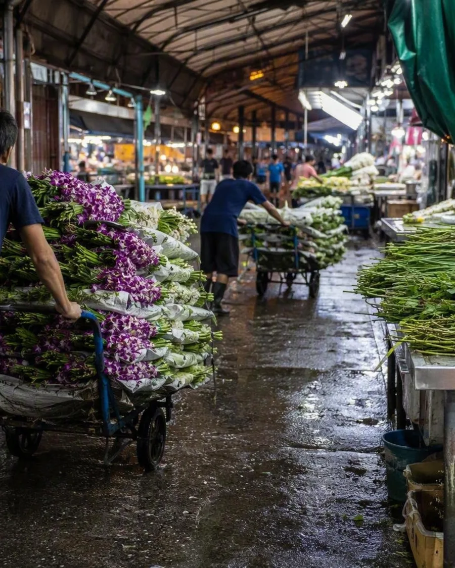 Waar Bangkok zijn bloemen bundelt: Pak Khlong Talat