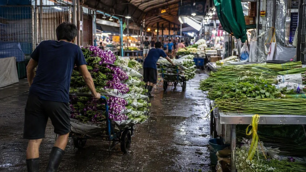 Waar Bangkok zijn bloemen bundelt: Pak Khlong Talat