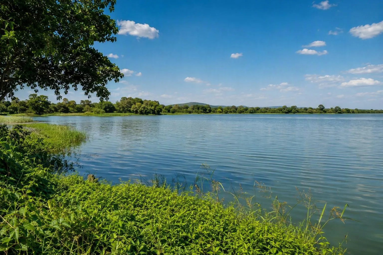 Lac de Tingréla