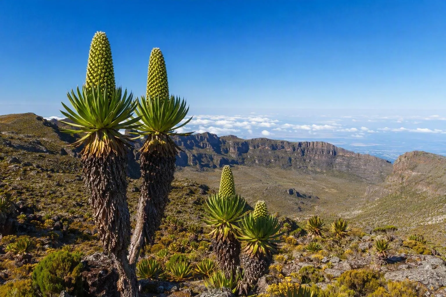 Nationaal Park Mount Elgon