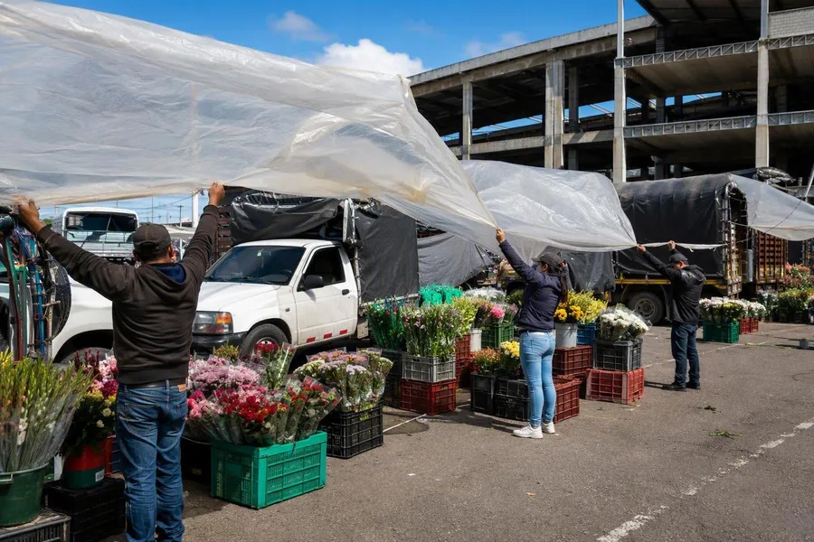 Bloemenverkopers zetten bij Paloquemao kramen op onder plastic kappen, tussen kisten en kleine vrachtwagens.