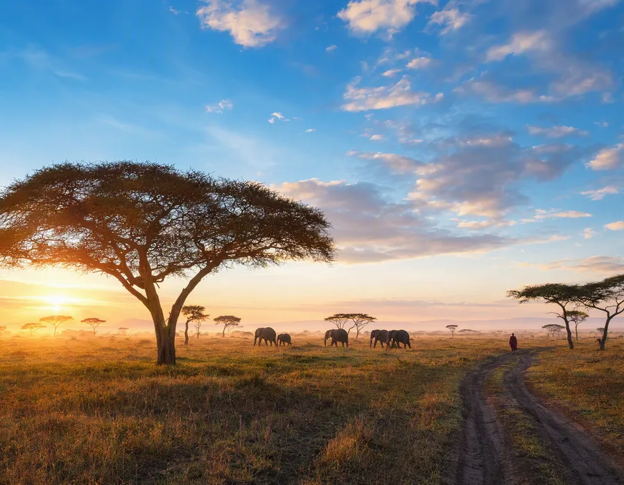 Afrika