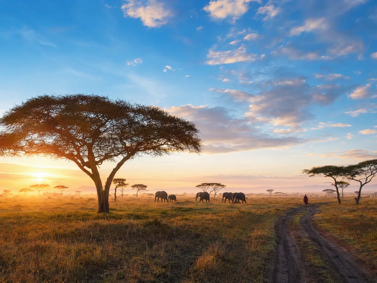 Afrika