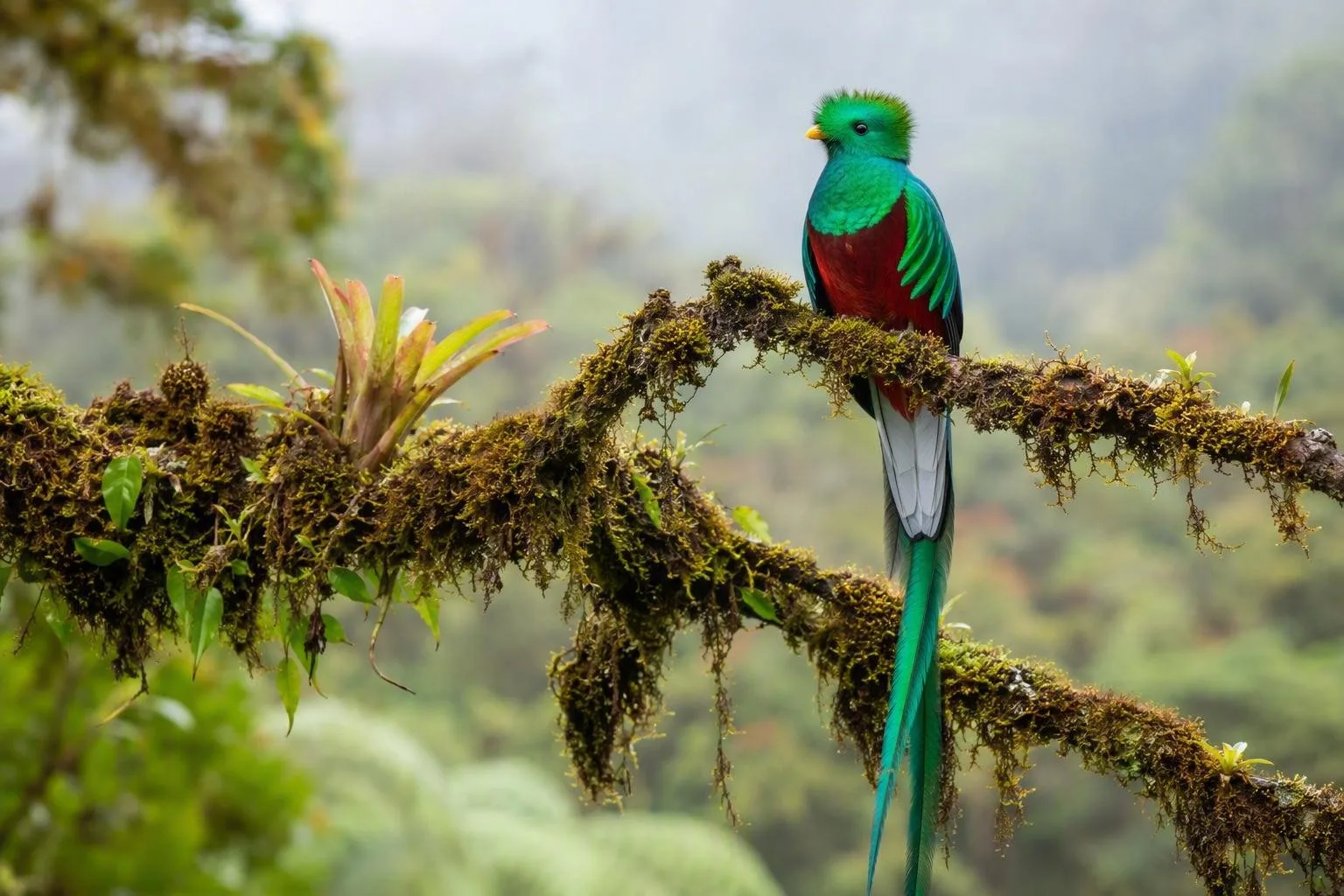 Costa Rica