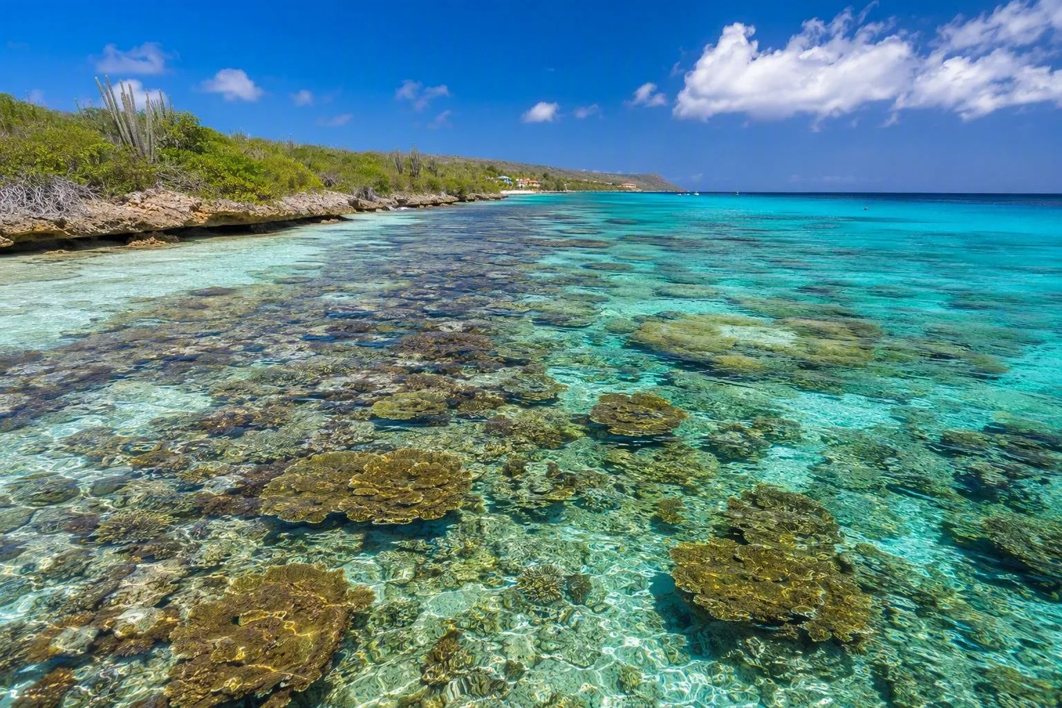 Bonaire