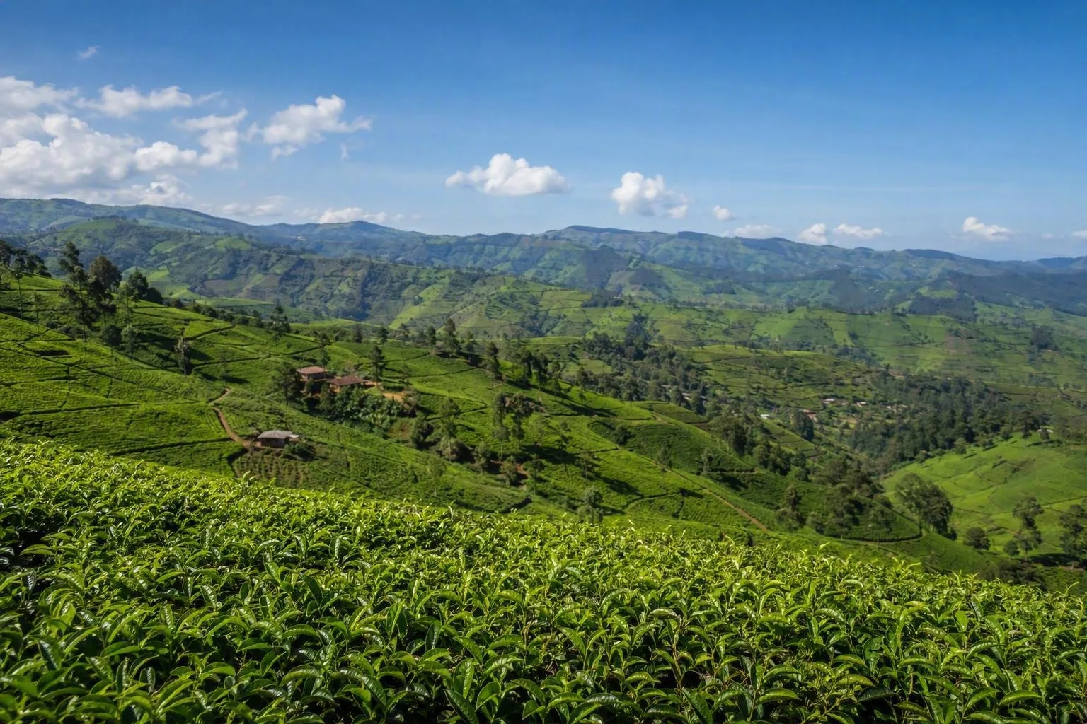 Burundi