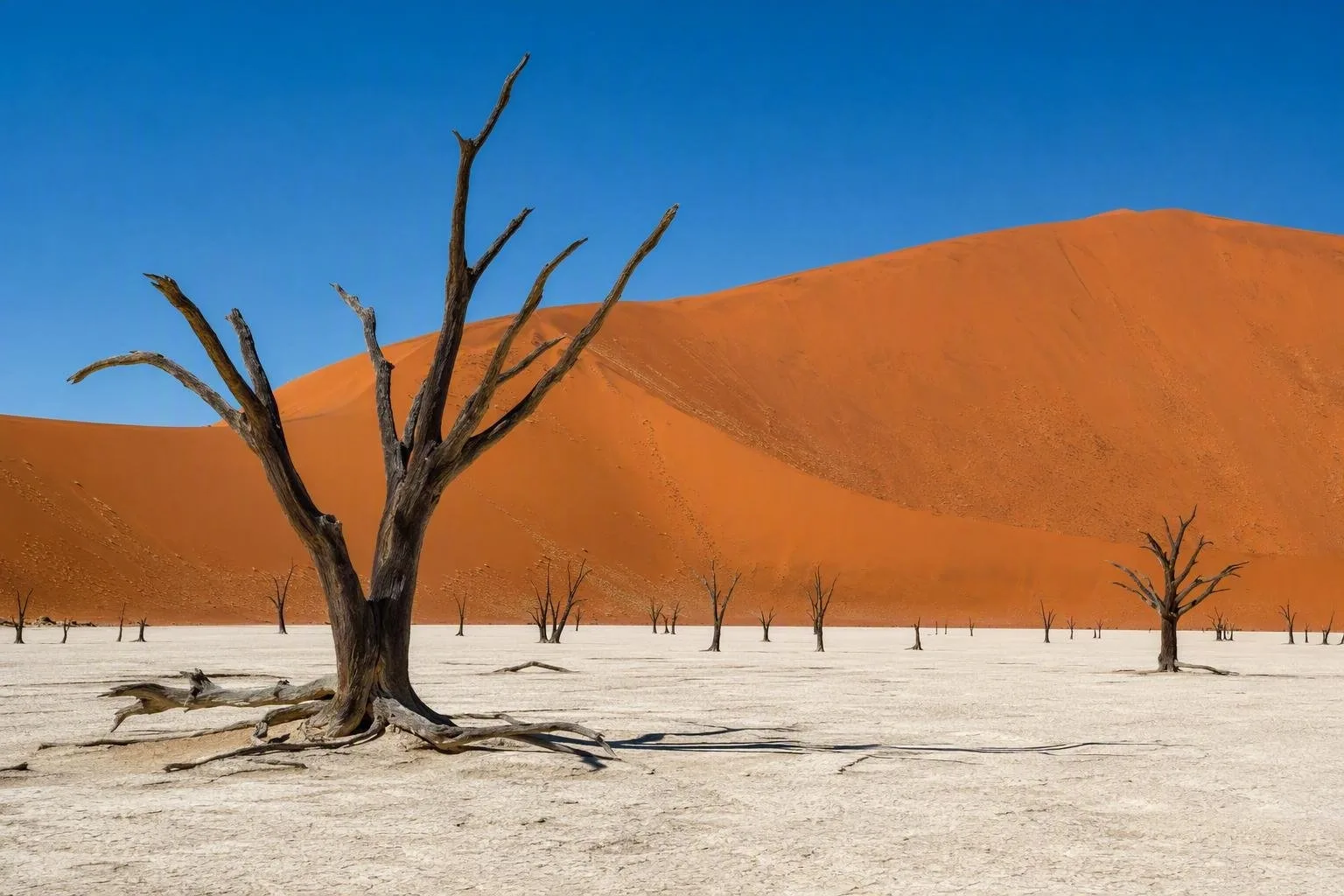 Nationaal Park Namib-Naukluft