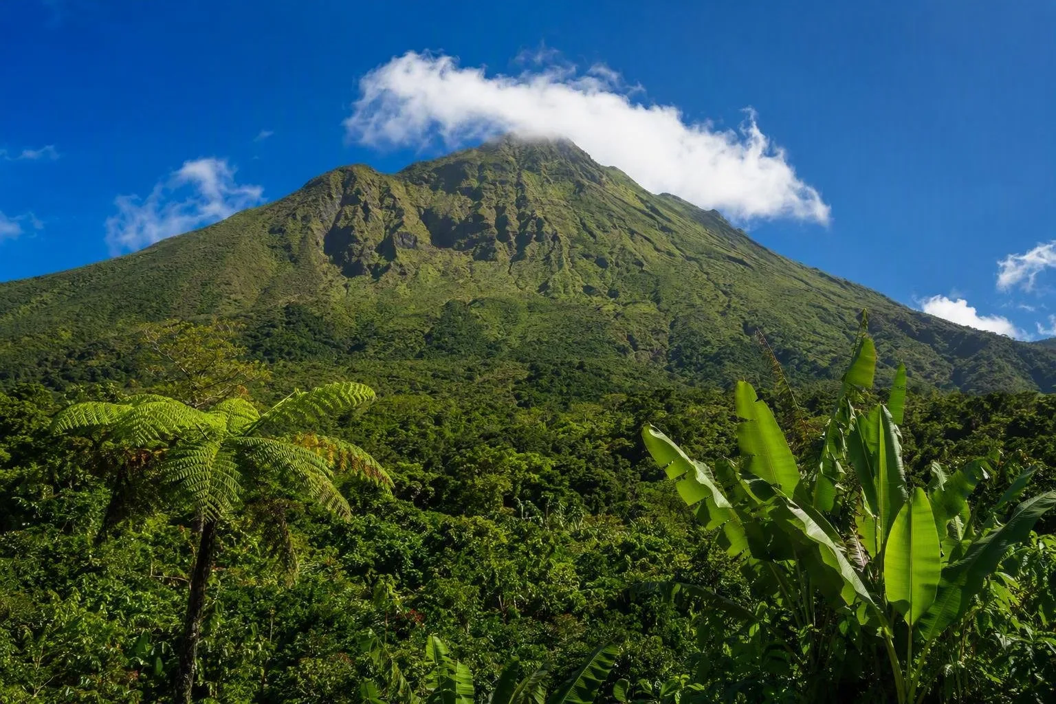 Guadeloupe