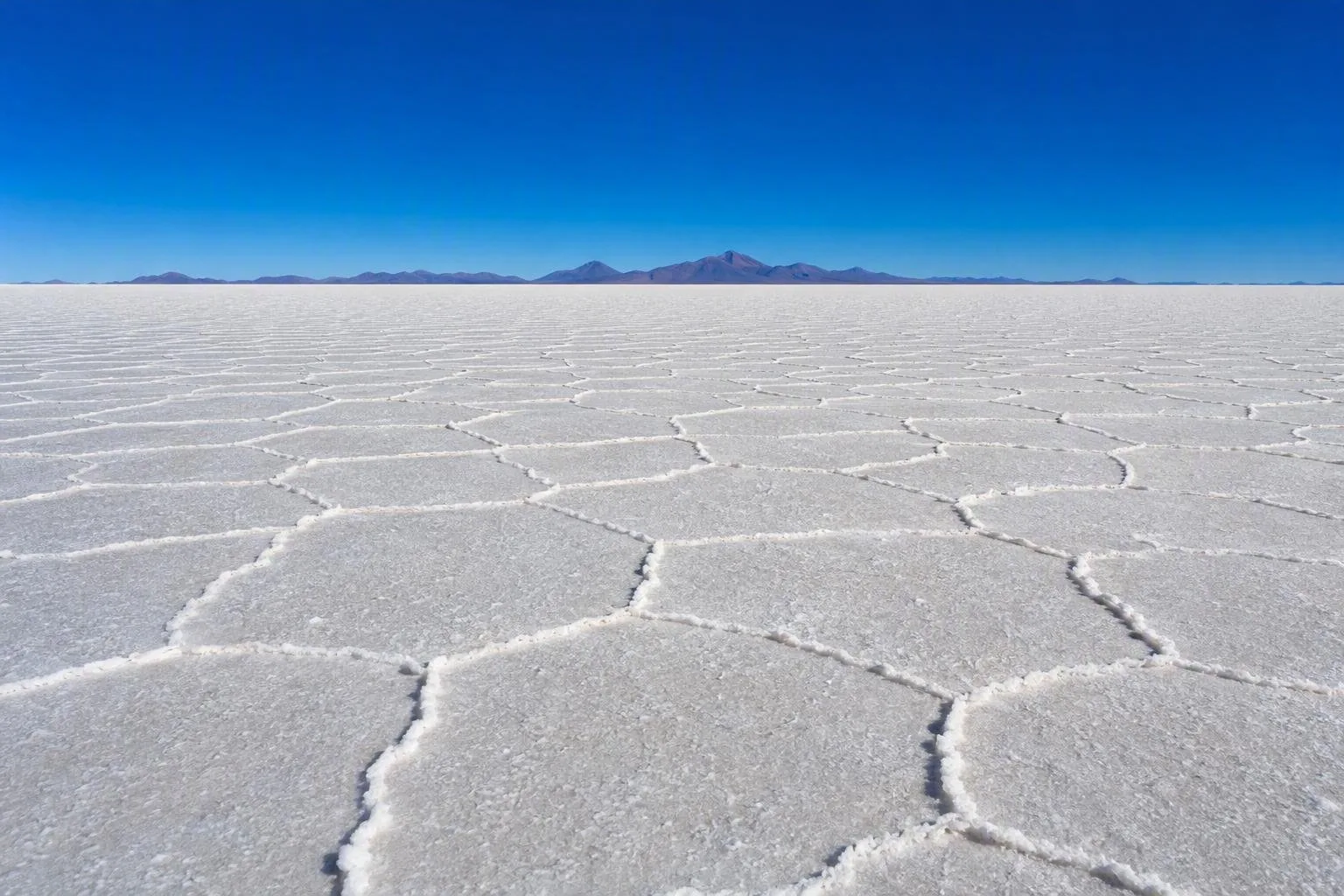 Bolivian Altiplano