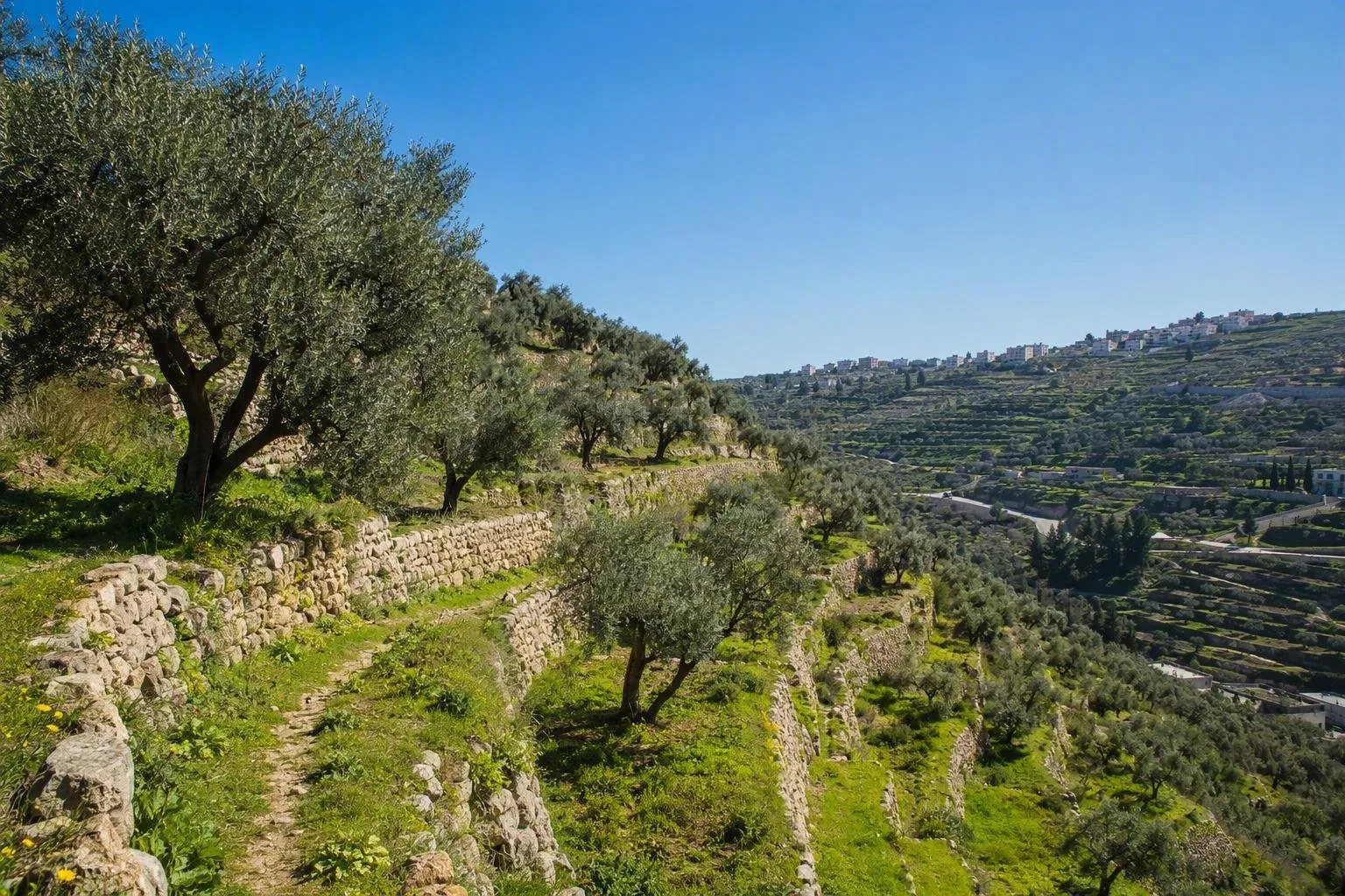 Palestina