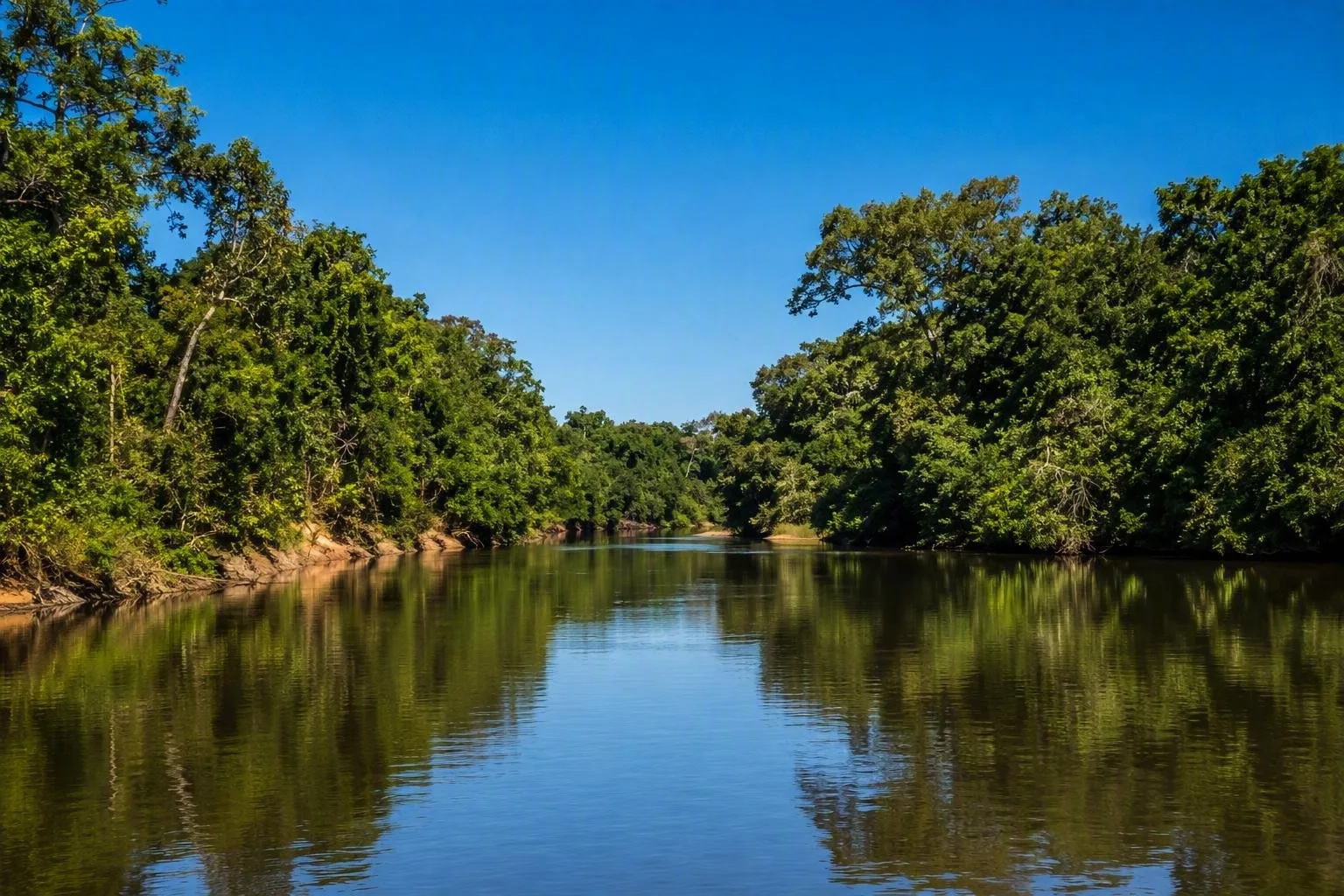 Nationaal Park Niokolo-Koba