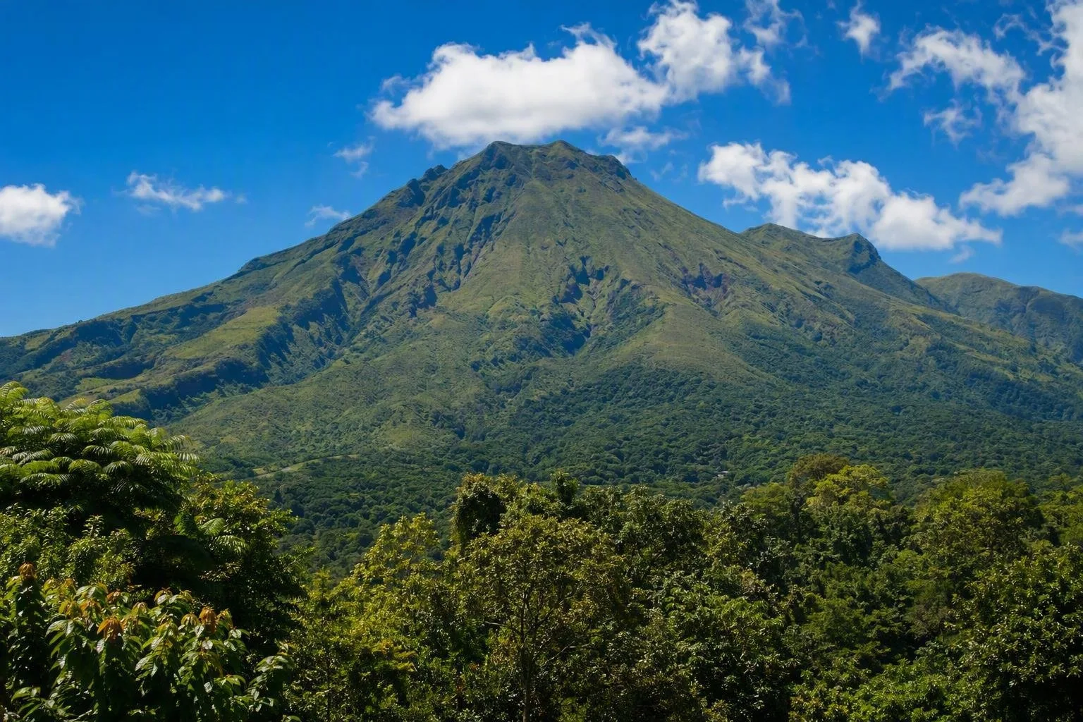 Martinique