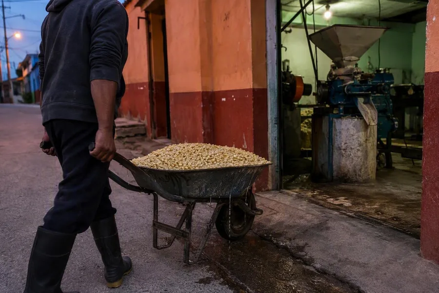 A wheelbarrow carries moist nixtamal to a mill in San Antonio de la Cal before sunrise.