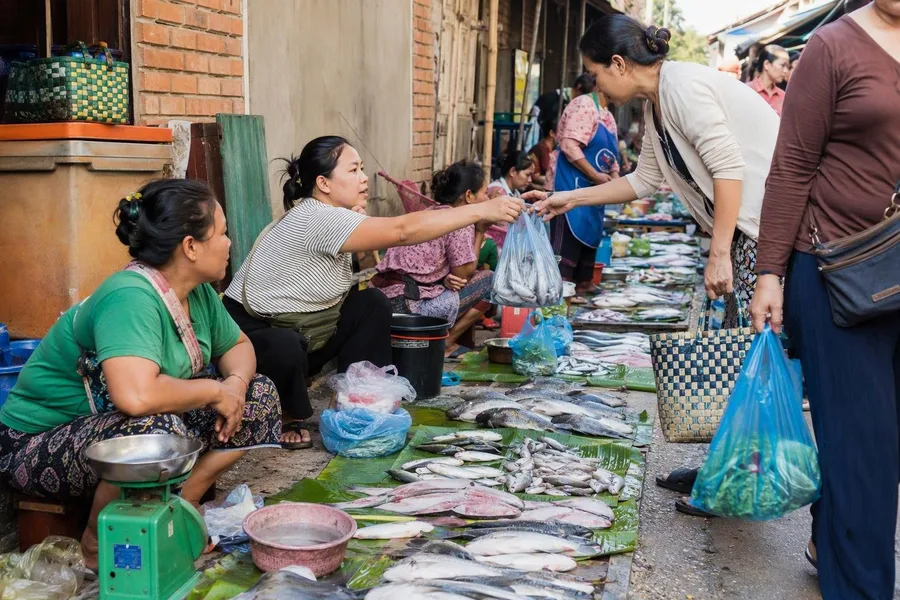Handelaren verkopen verse Mekongvis op matten bij Talad Sao in Luang Prabang.