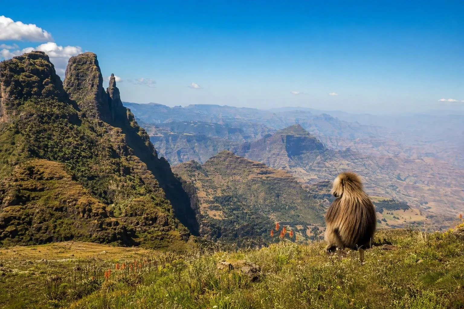 Ethiopië