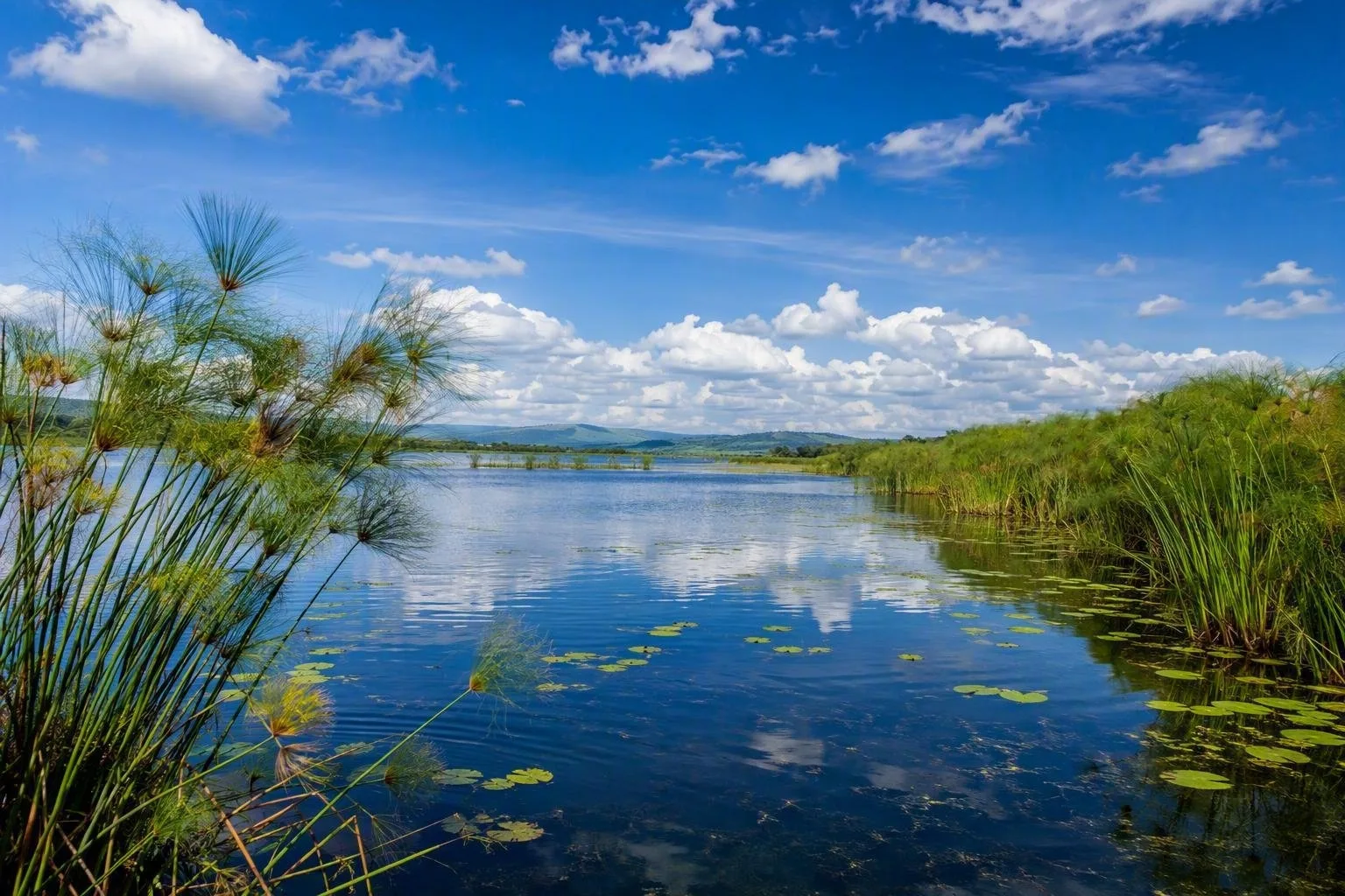 Nationaal park Lake Mburo