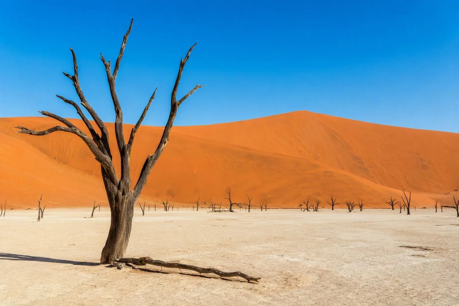 Namibië