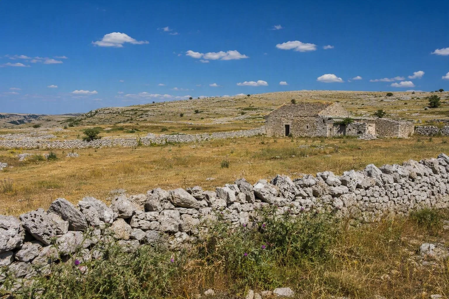 Murgia