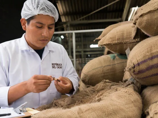 Van rivierdal naar koeltunnel: cacao in Quito
