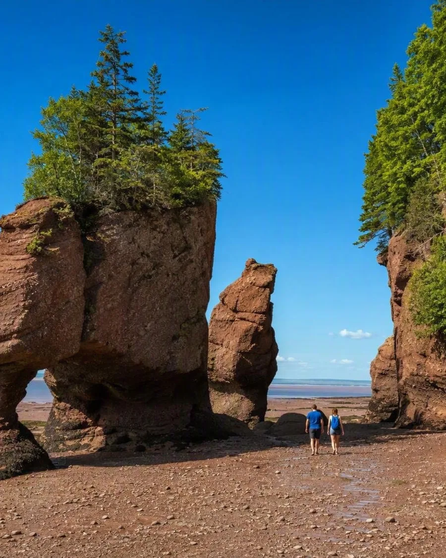 Twaalf meter water: eb en vloed bij Hopewell Rocks