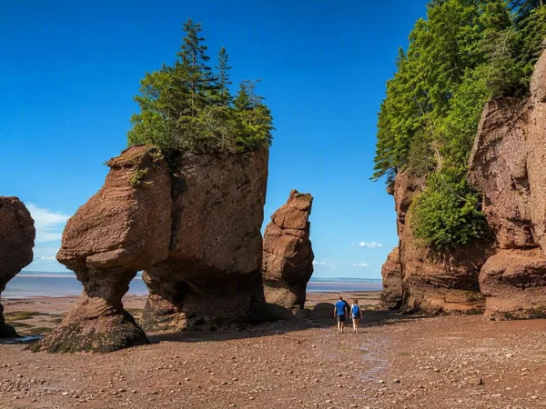 Twaalf meter water: eb en vloed bij Hopewell Rocks