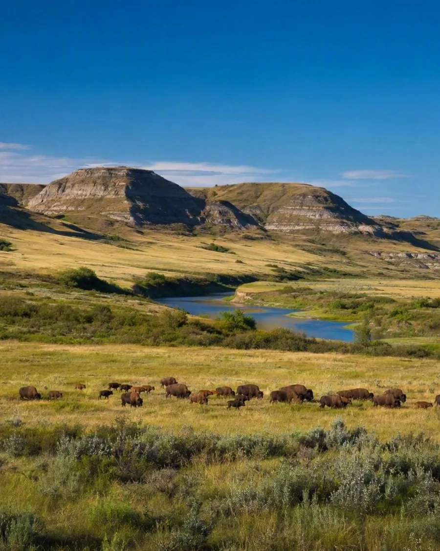 Langs bizons en coulees naar de Frenchman River-vallei