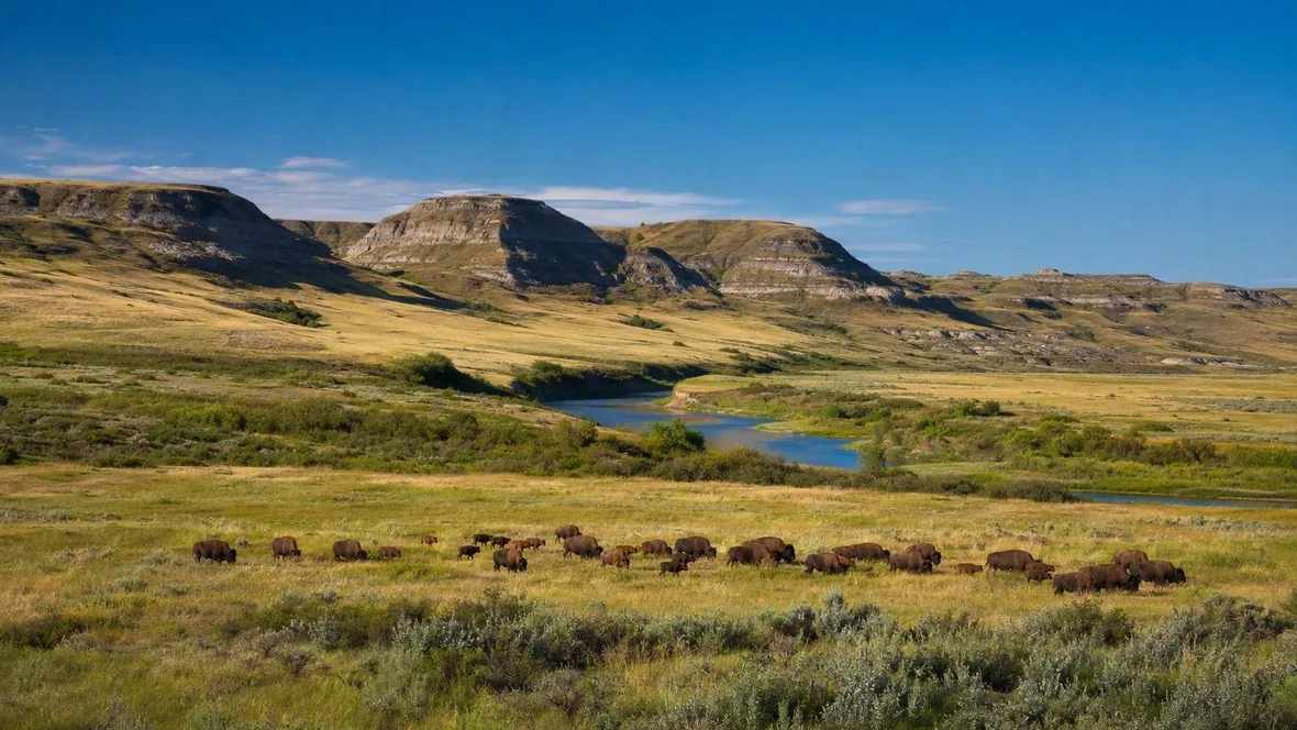 Langs bizons en coulees naar de Frenchman River-vallei
