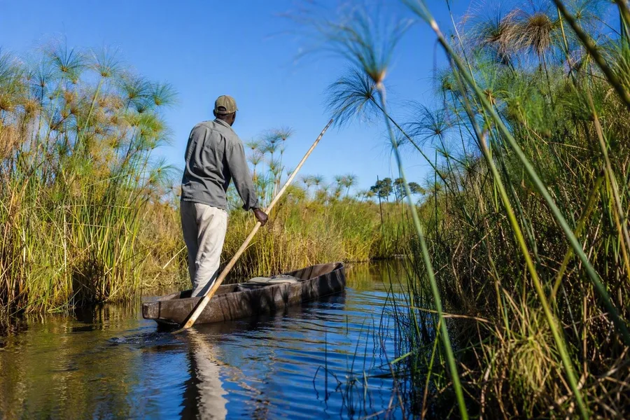 Een Anikhwe-visser voort een mokoro voort door een met papyrus omzoomd kanaal in de Okavangodelta.