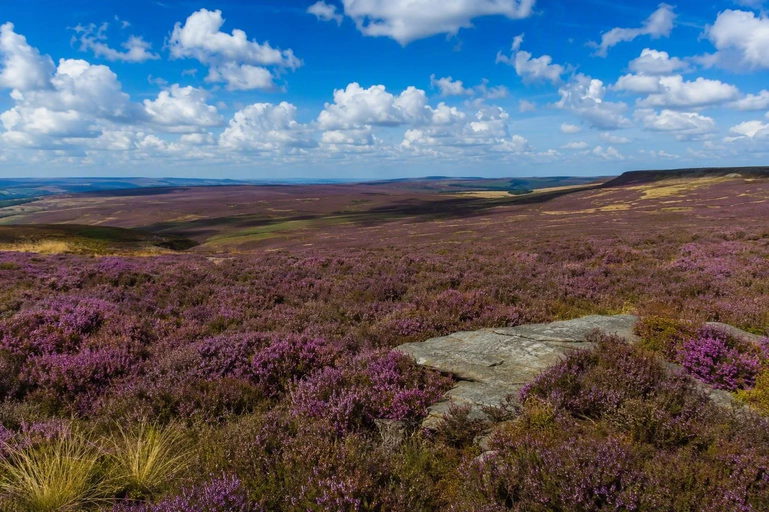 Nationaal park North York Moors
