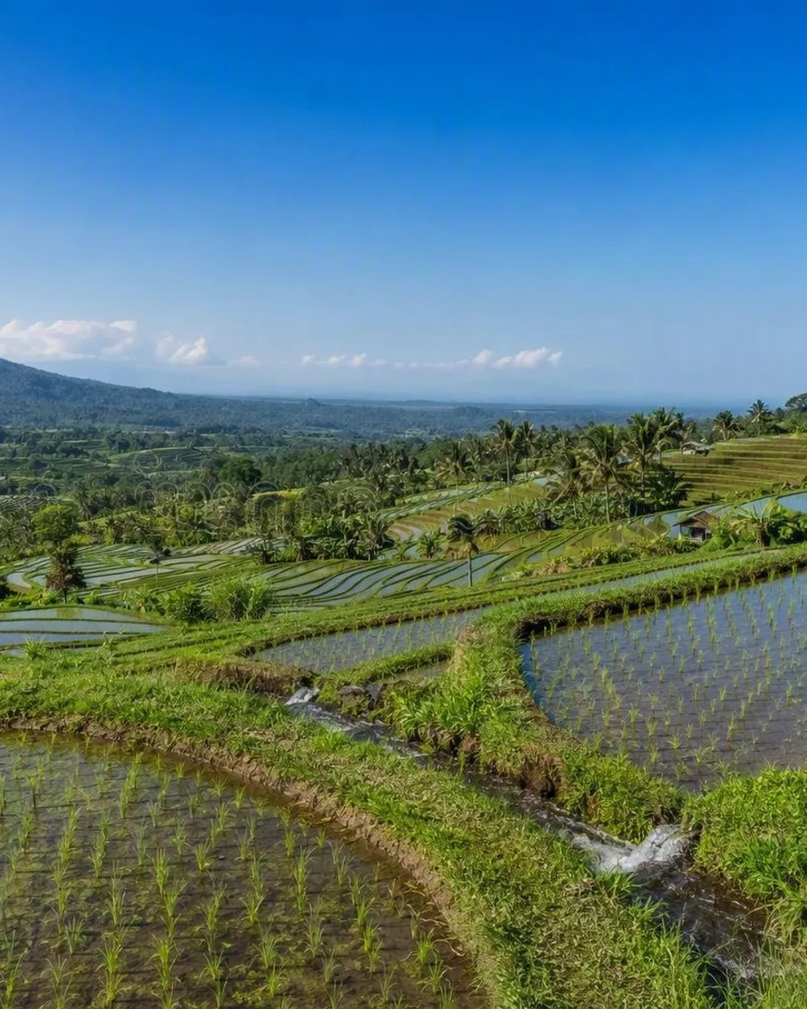 Acht oogstlandschappen, van de Douro tot Kericho