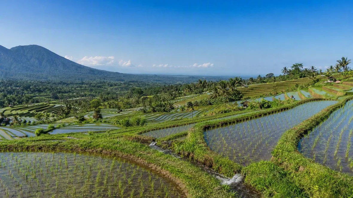 Acht oogstlandschappen, van de Douro tot Kericho