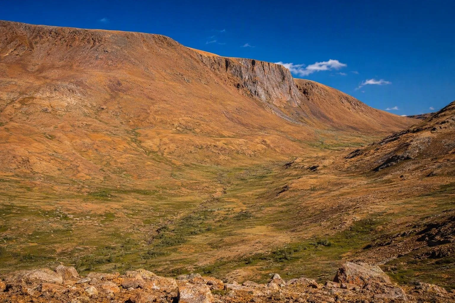Newfoundland