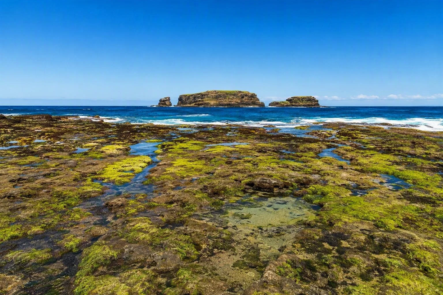 Merri Marine Sanctuary