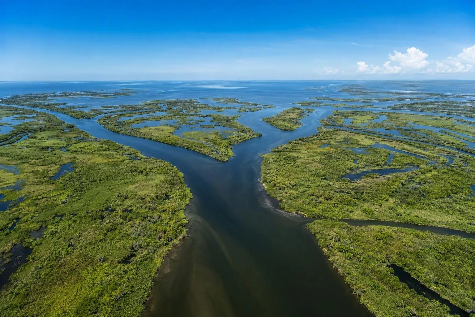 Mississippi Delta, Louisiana