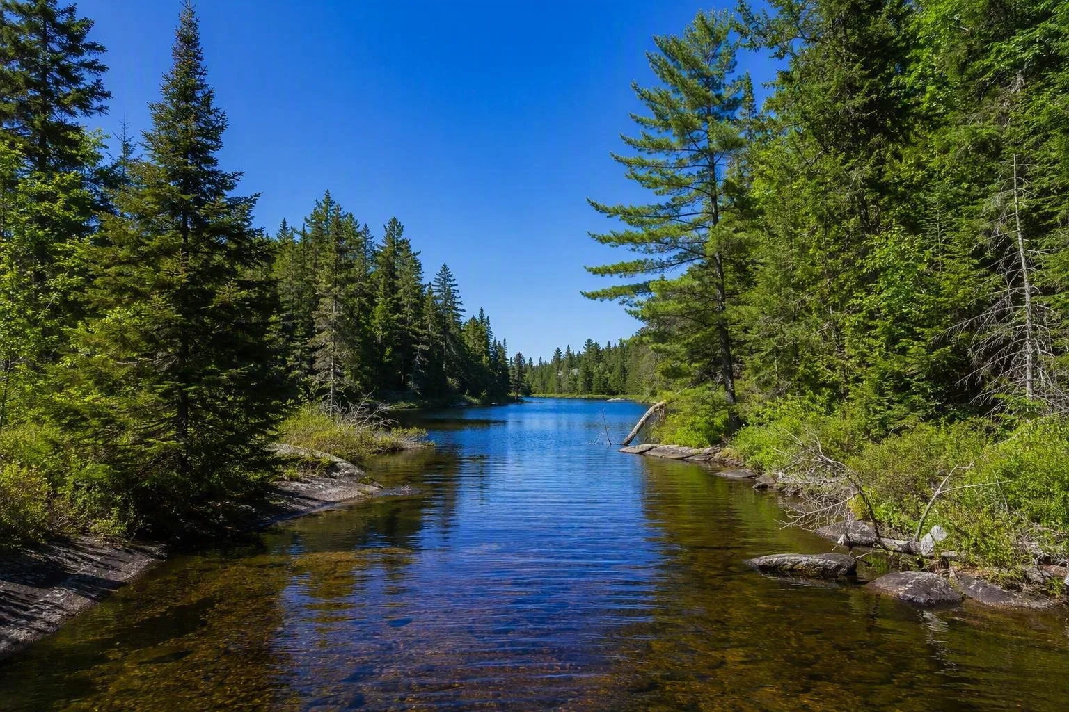 Lost Joe Lake