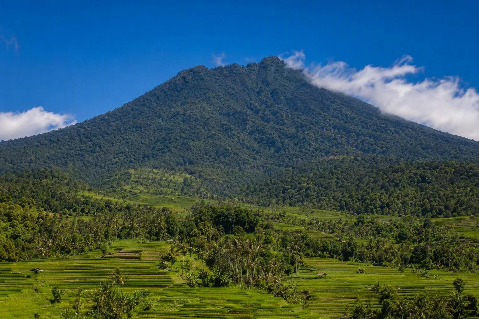 Gunung Batukaru