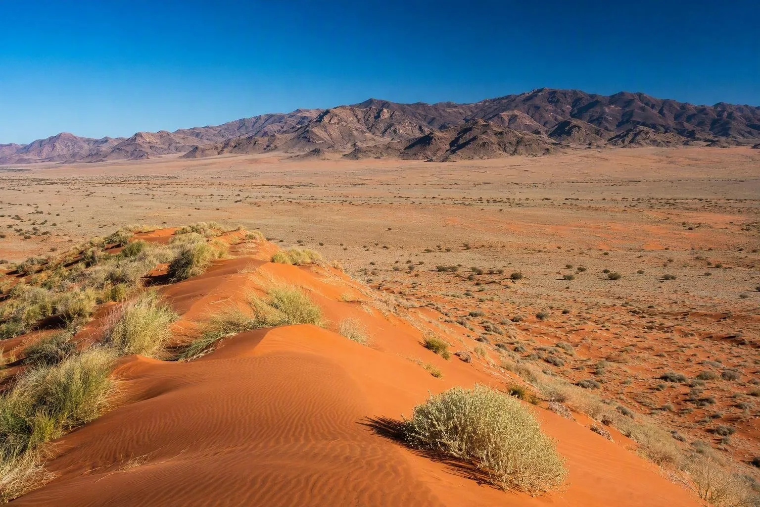NamibRand Nature Reserve