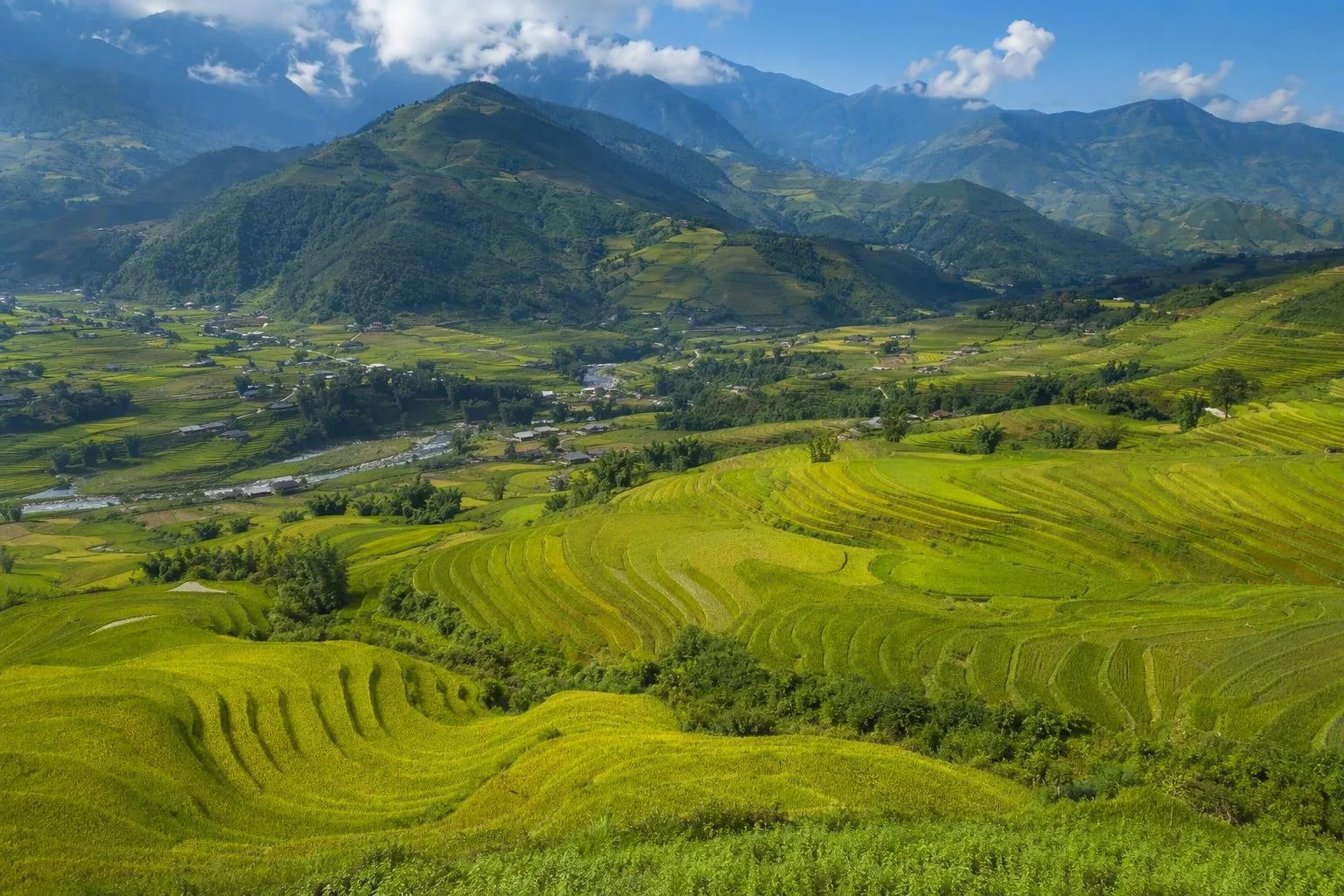 Sapa