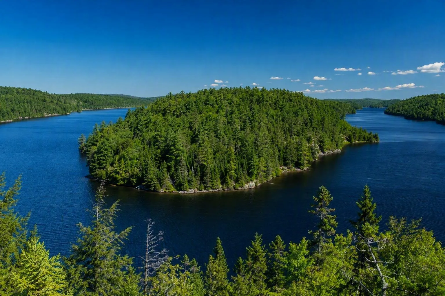 Joe Lake
