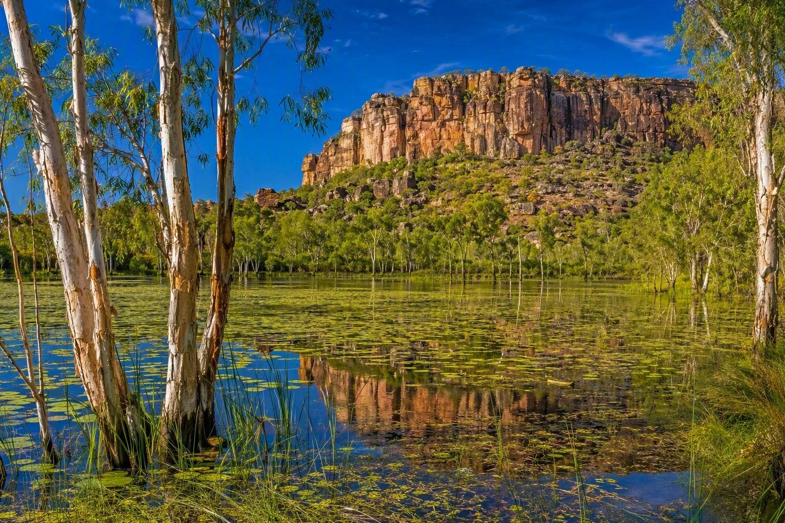 Anbangbang Billabong