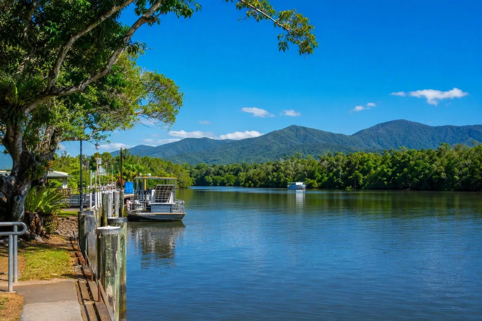 Daintree