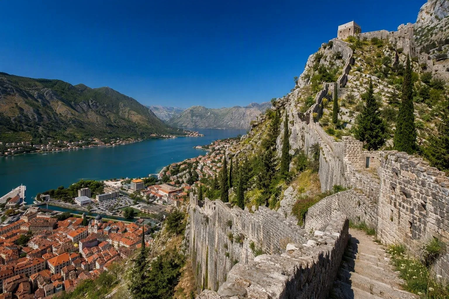 Kotor