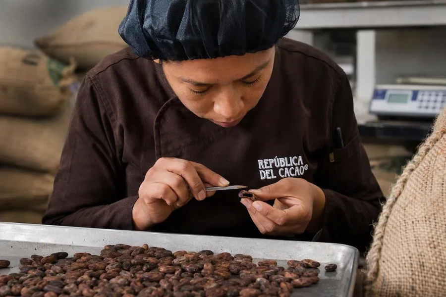 Een fabrieksmedewerker inspecteert een opengesneden droge cacaoboon bij República del Cacao in Quito.